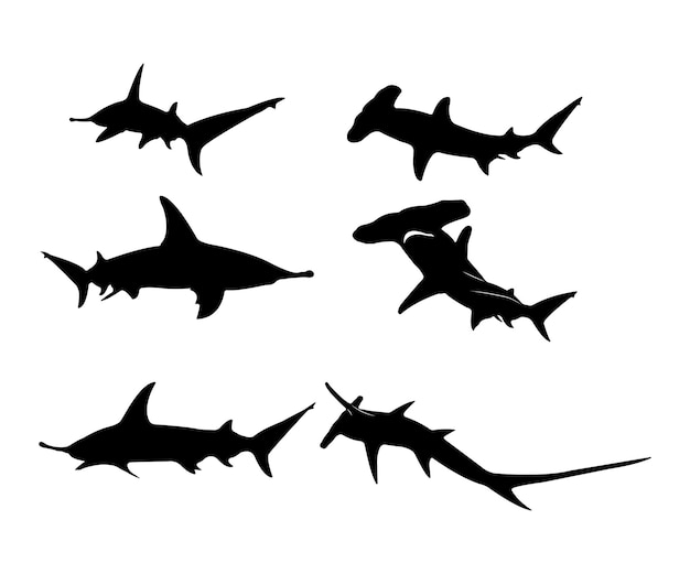 Collection of hammerhead shark vector silhouettes isolated on a white background