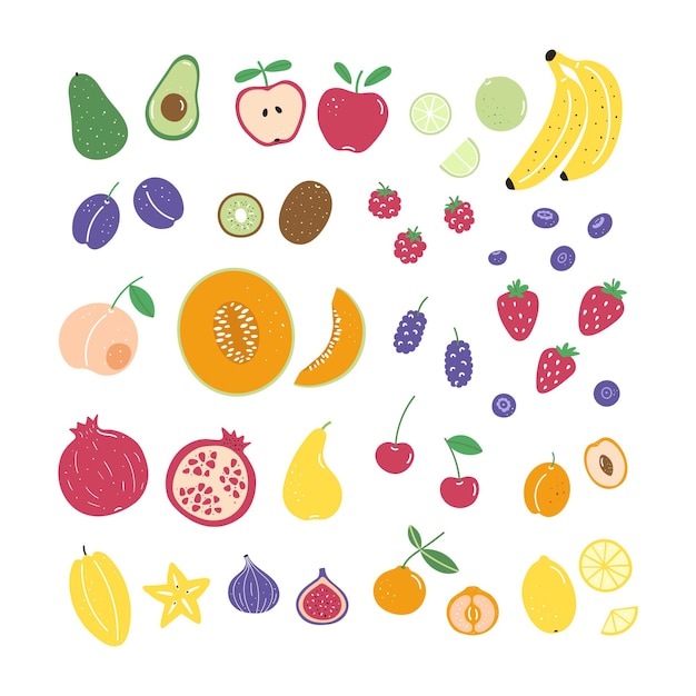 Collection of hand drawn different fruits and berries Summer vector illustrations for menu card