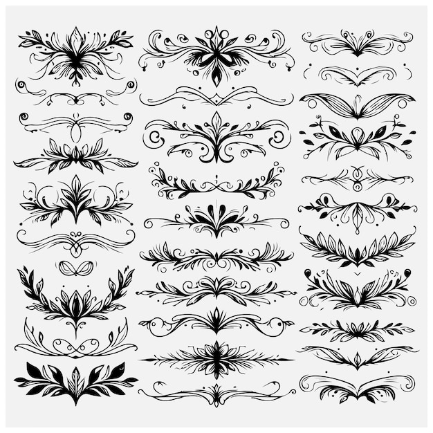 Collection of hand drawn dividers and text separators Lines and vines for page decoration