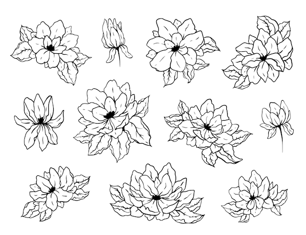 Collection of hand drawn flowers in doodle stile