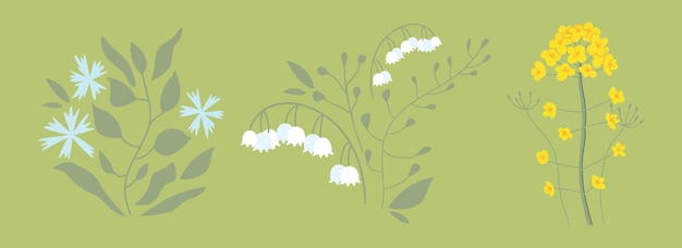 Collection hand drawn flowers Lily of the valley canola cornflower on an isolated background Vector flat illustration of summer flower