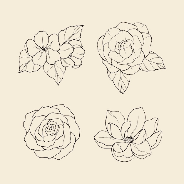 Collection of hand drawn flowers