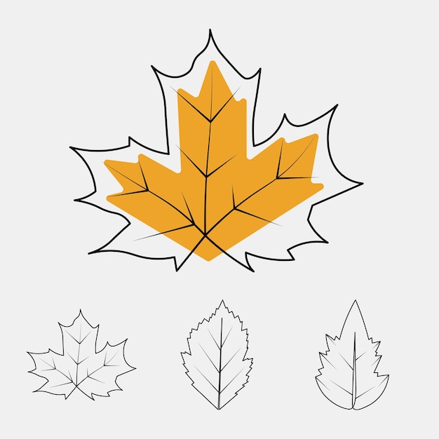 Vector collection of hand drawn leaf illustrations