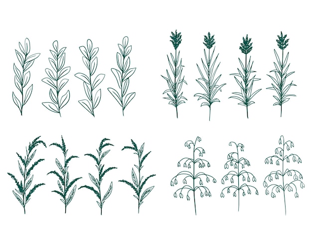 Collection of hand drawn vector green decorative plants flowers and branches elements