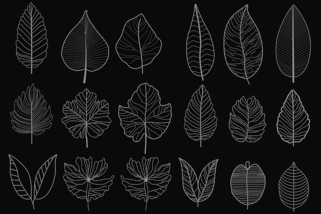 collection of handdrawn botanical elements includes various types of tropical leaves flowers