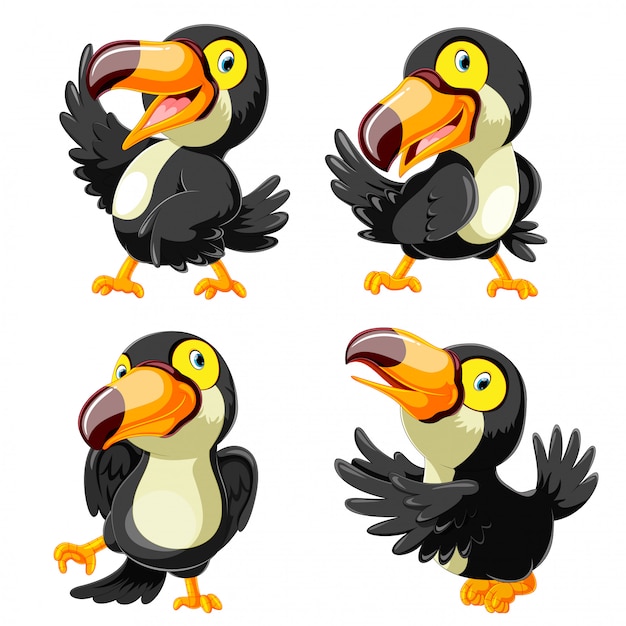 Collection of happy toucan cartoon with presentation