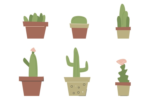 Collection of house cacti in flat cartoon style Succulents trendy minimalistic house decor