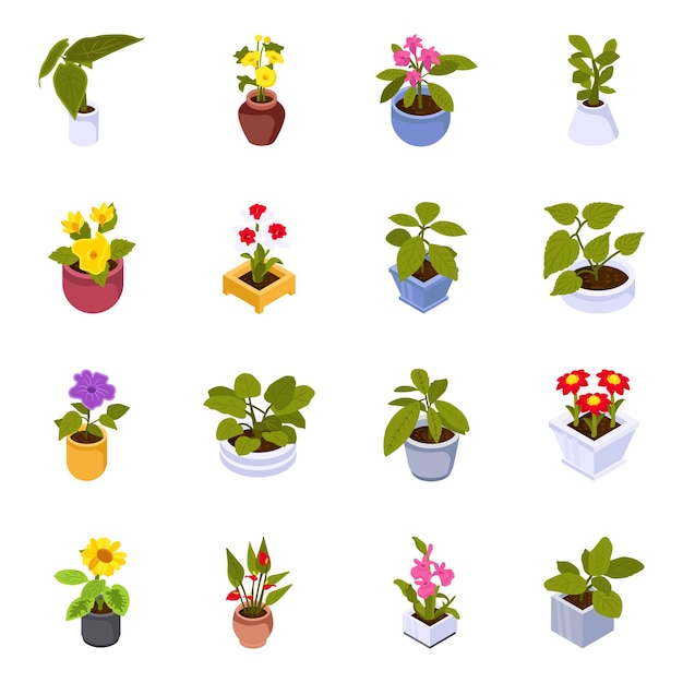 Collection of Houseplants Isometric Icons