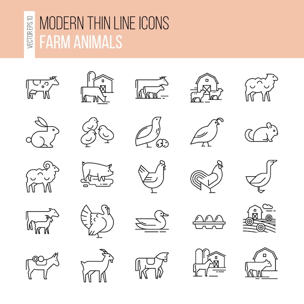 Collection of illustrations in line style, well-drawn and isolated