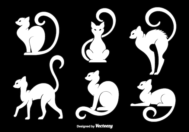 a collection of images of cats and a cat on a black background