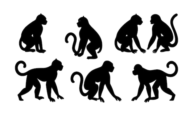 a collection of images of a monkey and a monkey