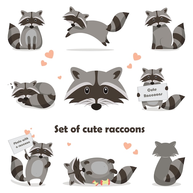 Collection isolated funny raccoon. Emotion little raccoon. set cute raccoon. Cartoon raccoon in children style.