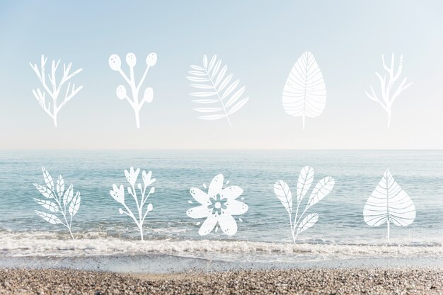 Vector collection of leaf design and seaside landscape