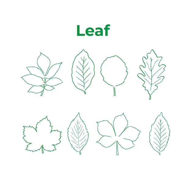 collection Leaf outline nature and green