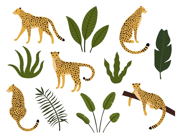 Collection of leopards, exotic leaves, tropical plants