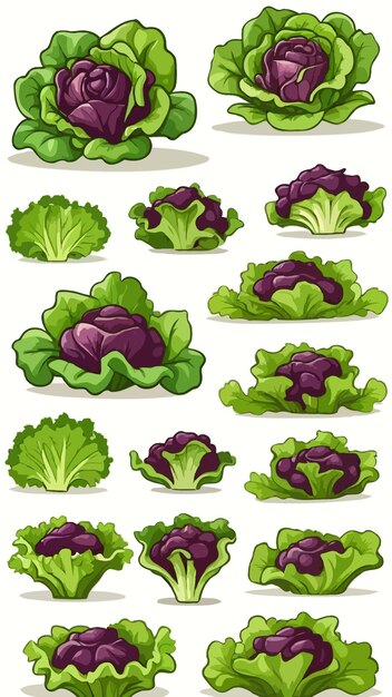 Vector a collection of lettuce cartoon drawing artwork vector