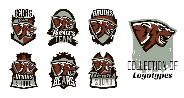 A collection of logos emblems of an aggressive bear ready to attack A dangerous predator an animal living in a wild forest teeth Shield lettering printing on Tshirts Vector illustration