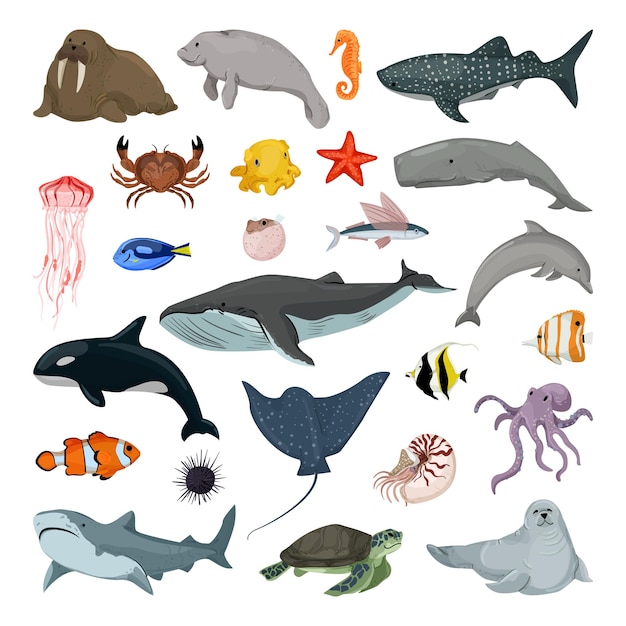 Collection of marine life