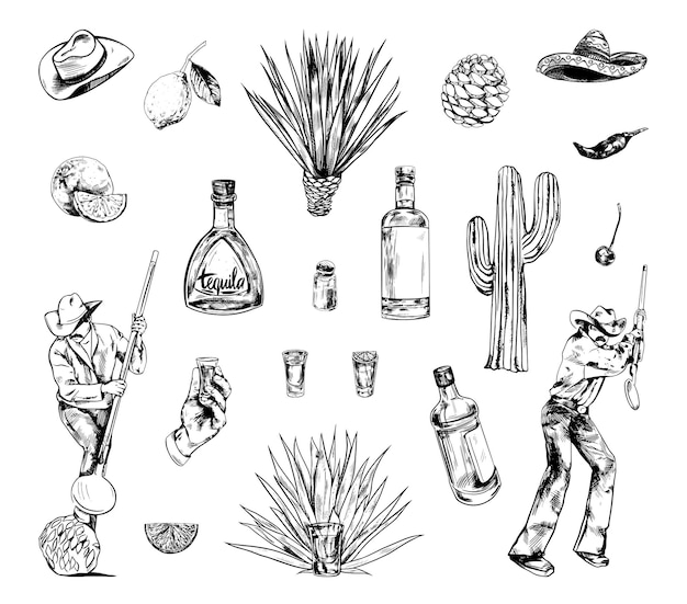 Vector collection of monochrome illustrations of tequila production in sketch style