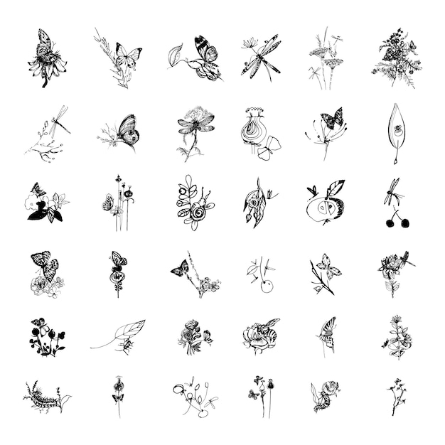 Collection of monochrome illustrations with flowers and insects in sketch style