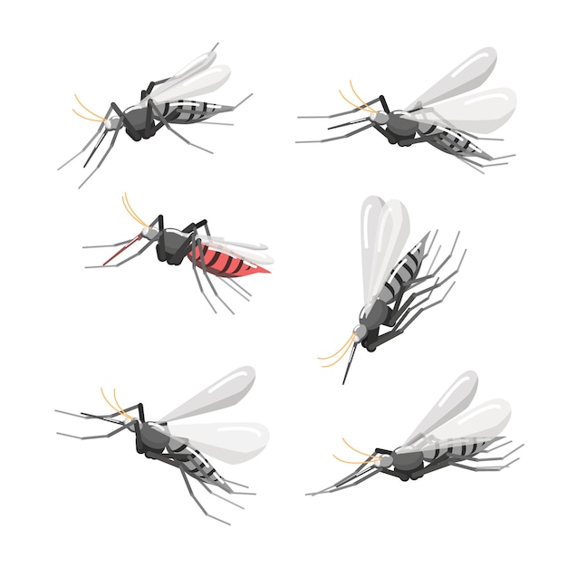 Collection of mosquito illustrations for world malaria day