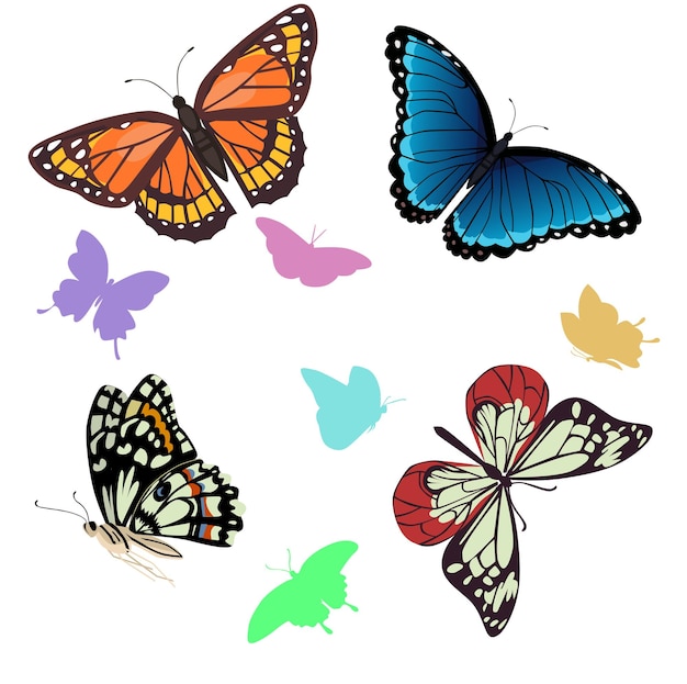 Collection of multicolored butterflies Vector illustration