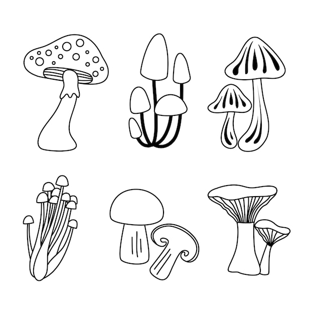 collection of mushroom clip art line art style illustration