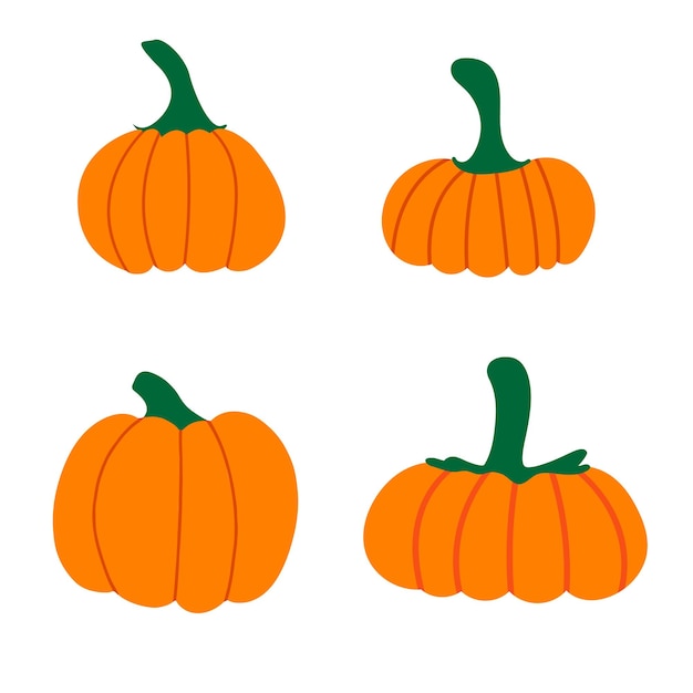 Collection of orange pumpkins