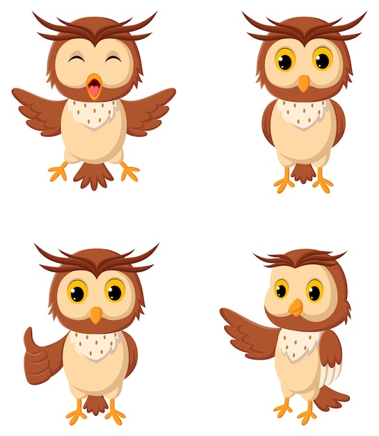 Collection of owl illustrations