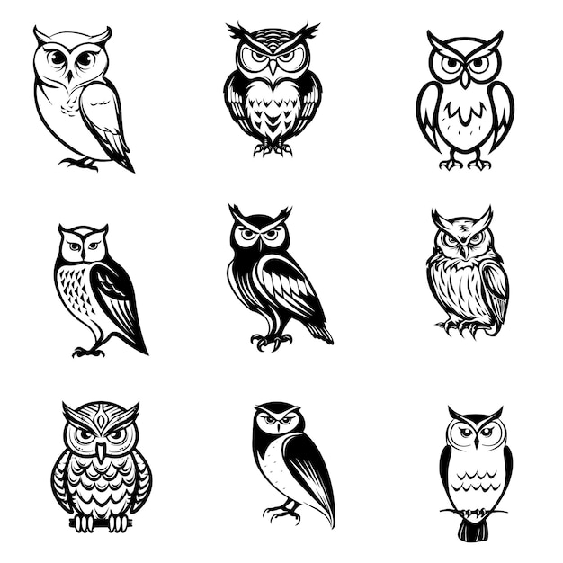 Vector a collection of owls black and white outlines