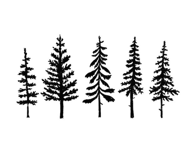 Collection of pine tree silhouettes Vector isolated