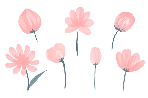 Collection of pink watercolor hand drawn wild flowers