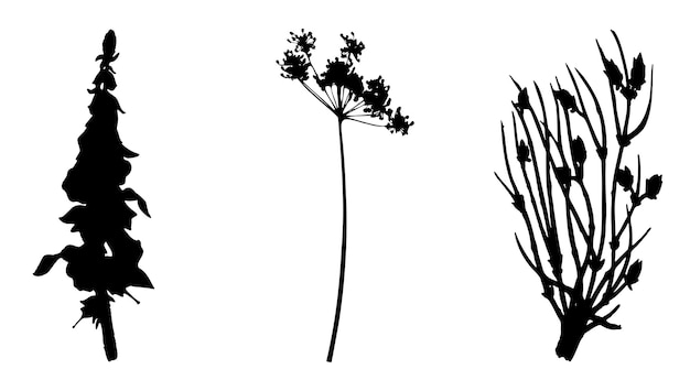 Collection of plants flowers and herbs Black silhouettes of plants