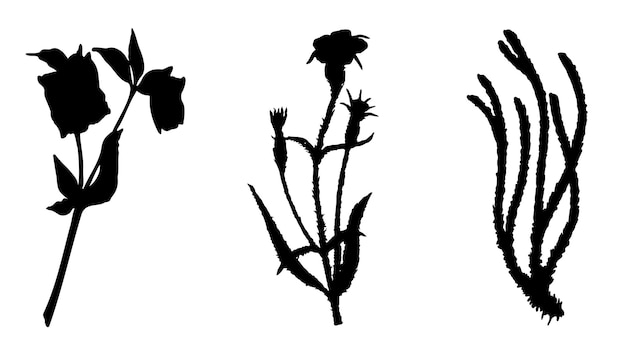 Collection of plants flowers and herbs Black silhouettes of plants