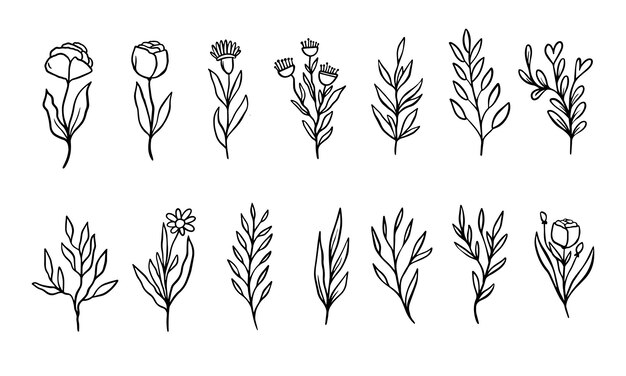 A collection of plants with different designs and the words " flower ".