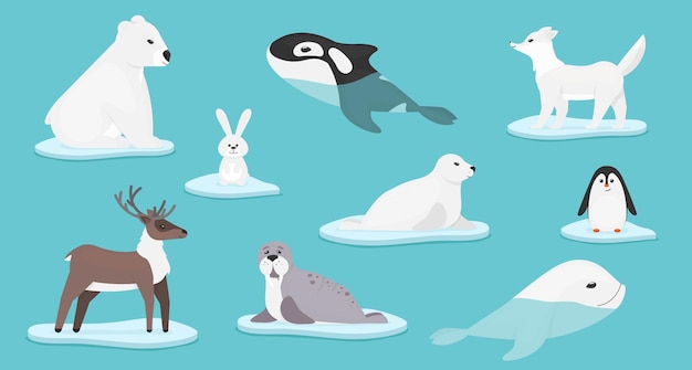 collection of polar animals isolated on blue