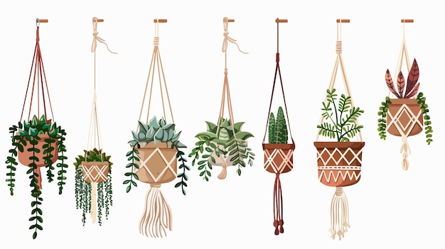 Vector a collection of potted plants with a string that says potted plants