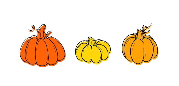 Collection Pumkins Vegetable set Doodle outline illustration