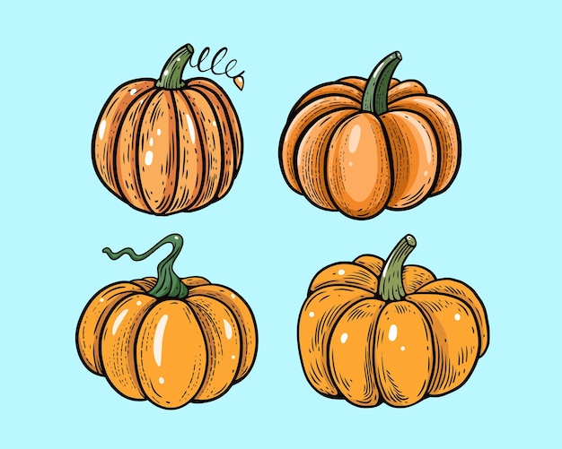 A collection of pumpkins on a blue background