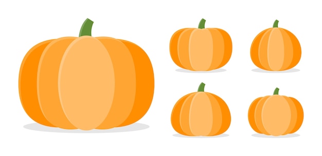 Collection of Pumpkins in different shapes