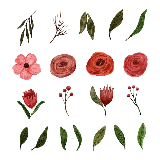 Collection of red flower and green leaf watercolor painting