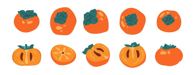 Collection ripe and juicy fruit persimmon isolated Set of half and whole of persimmon in flat style Traditional element for Korean Thanksgiving Day or Chuseok Autumn harvest Vector illustration