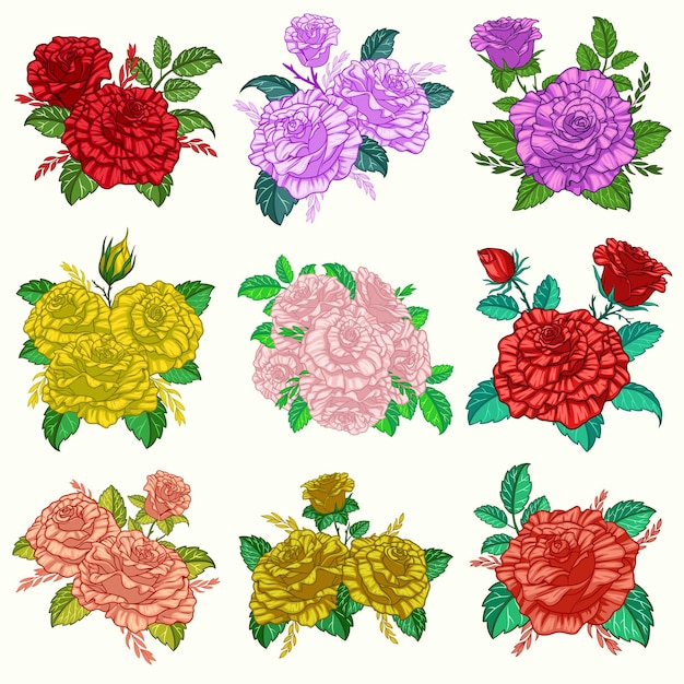 Collection of Rose Flowers Bouquet with Many Color