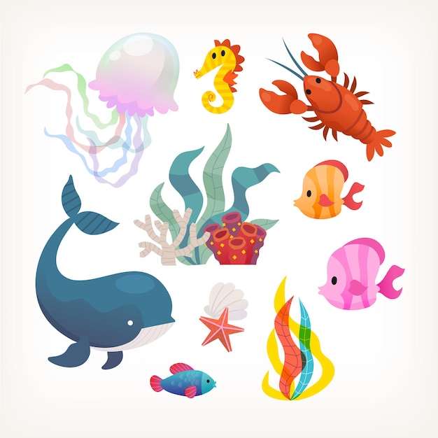 Collection of sea animals and plants