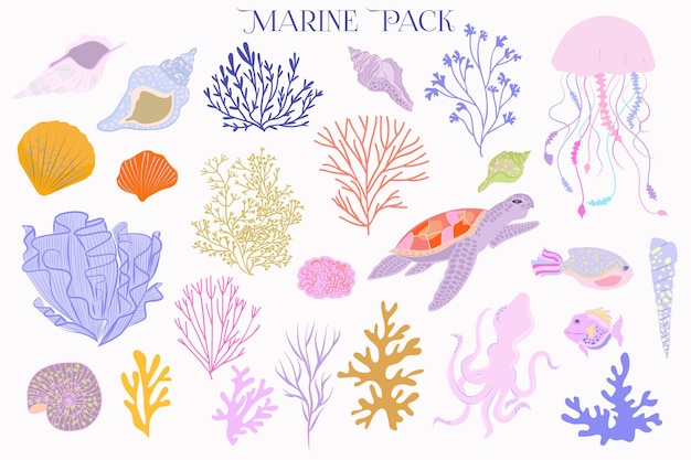 Collection of sea life seaweed sea shells corals and animals Editable Vector illustration