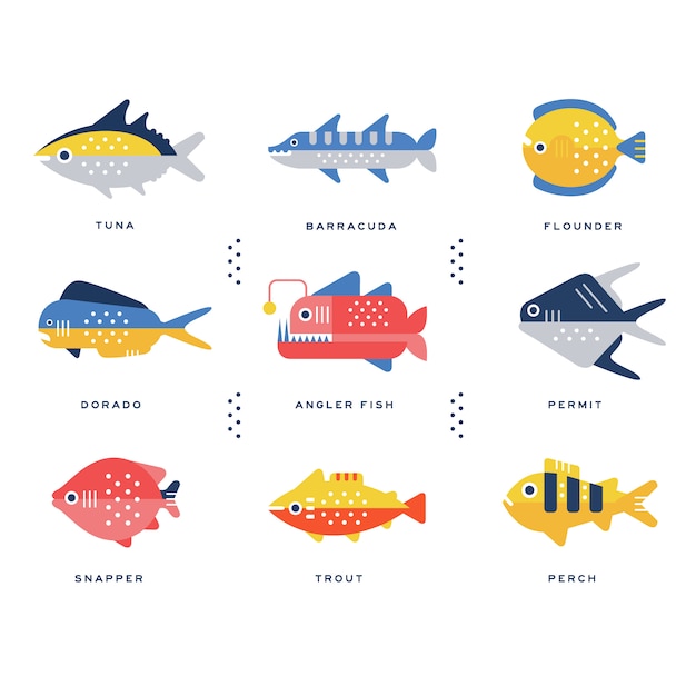 Collection of sea and river fish and lettering name in English  Illustrations