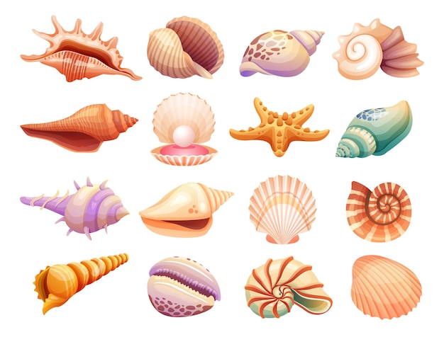 Collection of seashells illustration isolated on white background