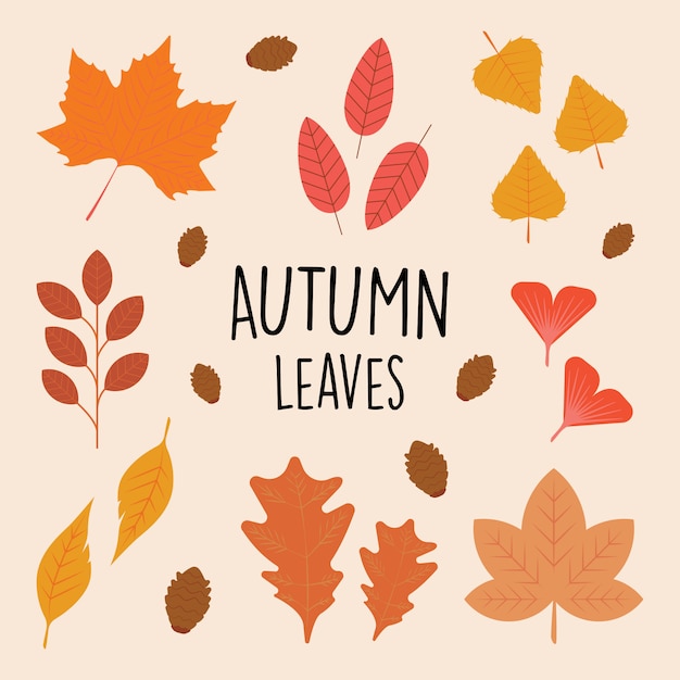 Collection set beautiful autumn leaves in flat color style 