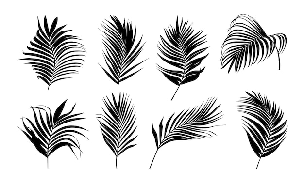 Collection of silhouette palm tree leaves