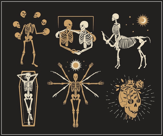 Collection of skeletons logos for tshirt and denim juggler the vitruvian skeleton